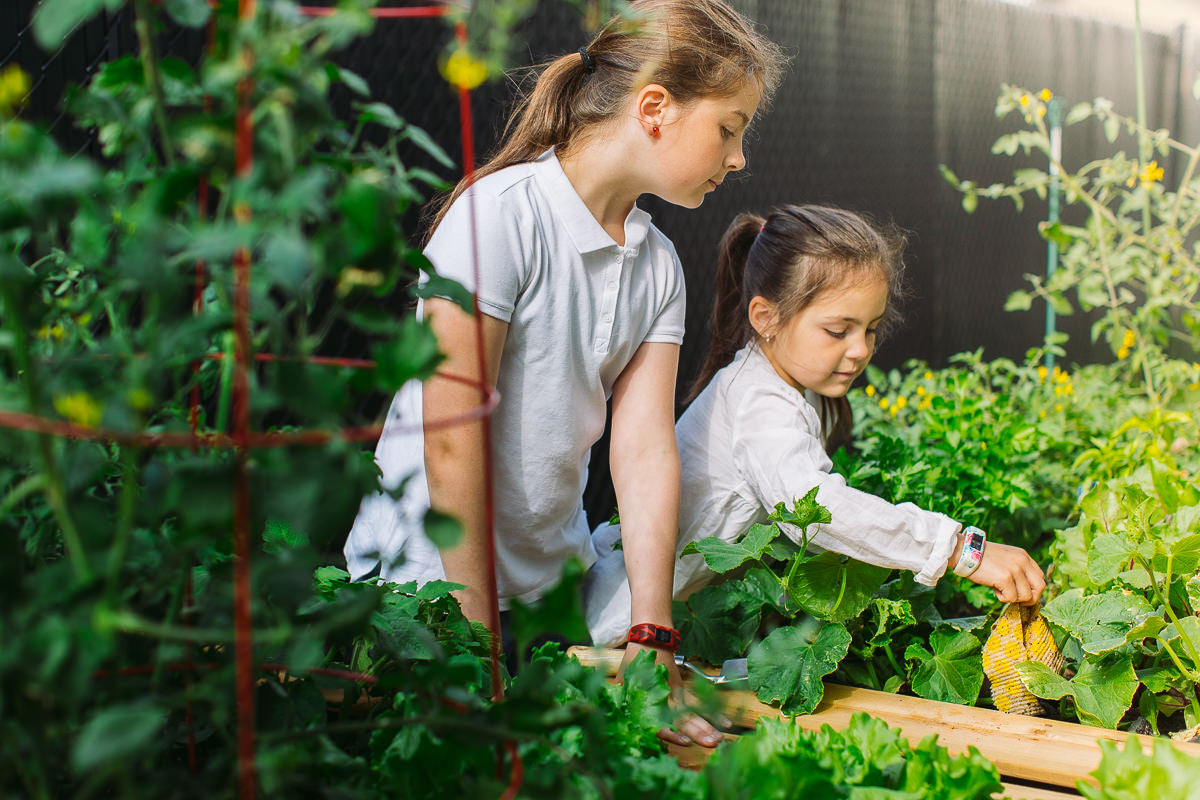 Les bonnes habitudes se prennent très jeune