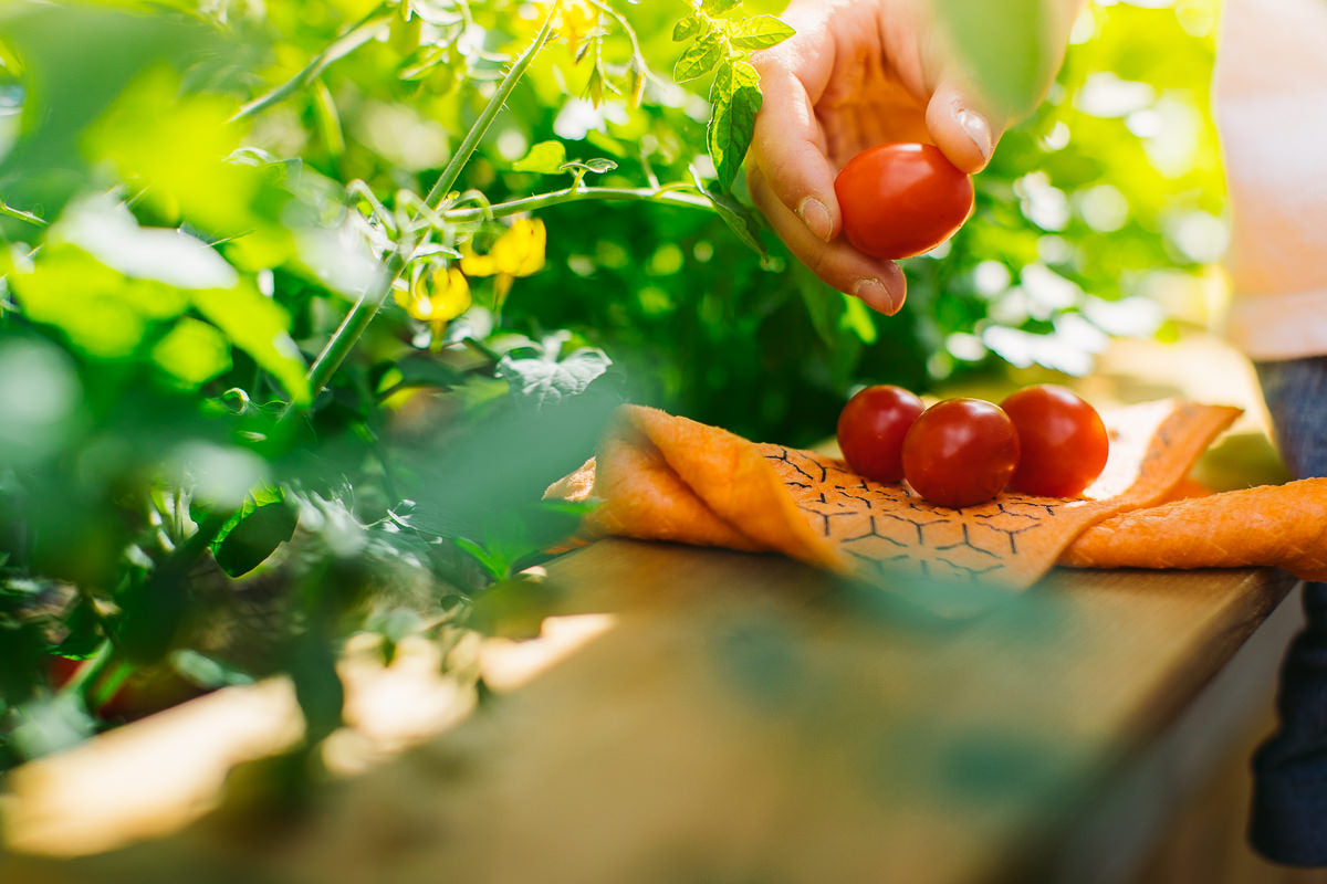 Bonnes pratiques et bons produits pour réduire votre empreinte écologique